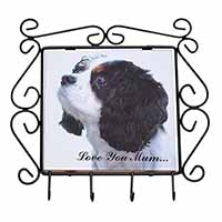 Tri King Charles Spaniel 
