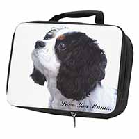 Tri King Charles Spaniel 