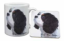 Tri King Charles Spaniel 