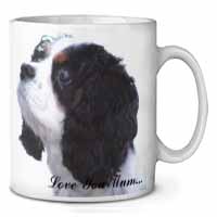 Tri King Charles Spaniel 