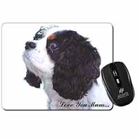 Tri King Charles Spaniel 