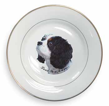 Tri King Charles Spaniel 