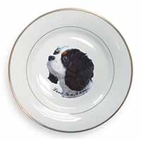 Tri King Charles Spaniel 