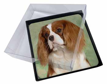 4x Blenheim King Charles Spaniel Picture Table Coasters Set in Gift Box