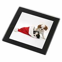 Christmas King Charles Black Rim High Quality Glass Coaster