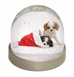 Christmas King Charles Snow Globe Photo Waterball