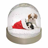 Christmas King Charles Snow Globe Photo Waterball