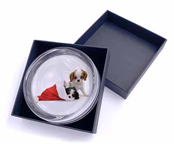 Christmas King Charles Glass Paperweight in Gift Box