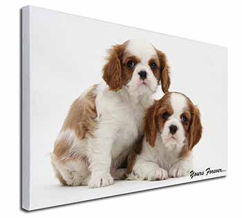 Blenheim King Charles Spaniels Canvas X-Large 30"x20" Wall Art Print