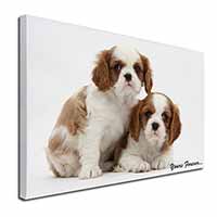 Blenheim King Charles Spaniels Canvas X-Large 30"x20" Wall Art Print