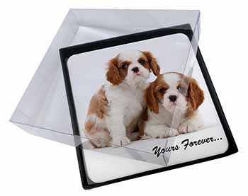 4x Blenheim King Charles Spaniels Picture Table Coasters Set in Gift Box