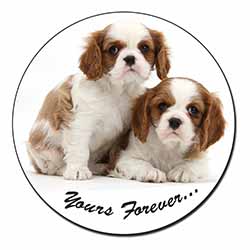 Blenheim King Charles Spaniels Fridge Magnet Printed Full Colour