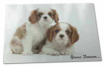 Large Glass Cutting Chopping Board Blenheim King Charles Spaniels