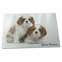 Large Glass Cutting Chopping Board Blenheim King Charles Spaniels