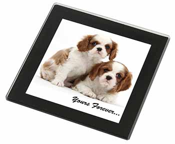 Blenheim King Charles Spaniels Black Rim High Quality Glass Coaster