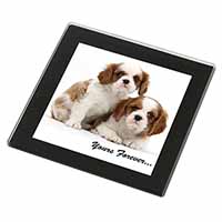 Blenheim King Charles Spaniels Black Rim High Quality Glass Coaster