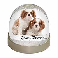 Blenheim King Charles Spaniels Snow Globe Photo Waterball