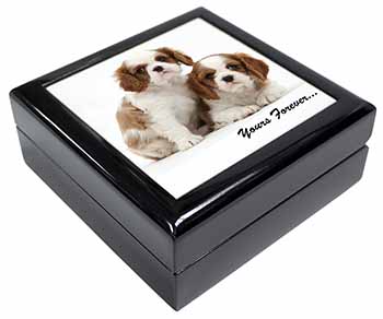 Blenheim King Charles Spaniels Keepsake/Jewellery Box