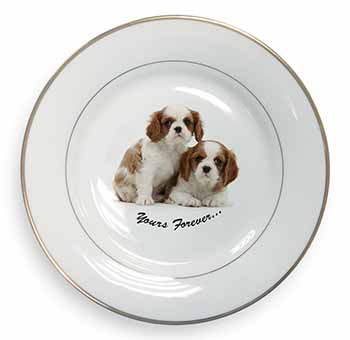 Blenheim King Charles Spaniels Gold Rim Plate Printed Full Colour in Gift Box