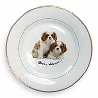 Blenheim King Charles Spaniels Gold Rim Plate Printed Full Colour in Gift Box