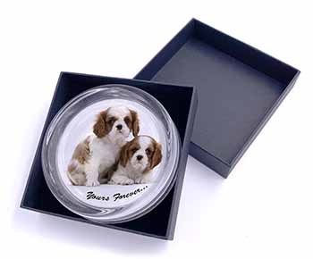 Blenheim King Charles Spaniels Glass Paperweight in Gift Box