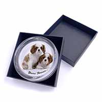 Blenheim King Charles Spaniels Glass Paperweight in Gift Box