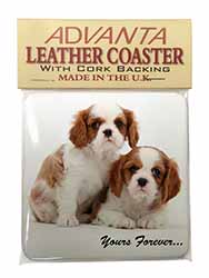 Blenheim King Charles Spaniels Single Leather Photo Coaster