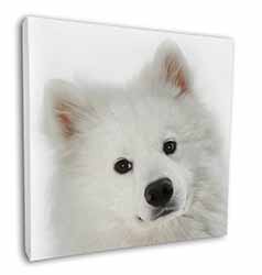 Samoyed Dog Square Canvas 12"x12" Wall Art Picture Print