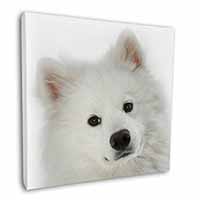 Samoyed Dog Square Canvas 12"x12" Wall Art Picture Print