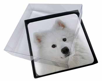 4x Samoyed Dog Picture Table Coasters Set in Gift Box