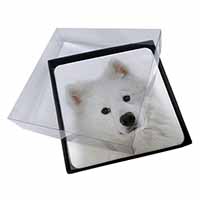 4x Samoyed Dog Picture Table Coasters Set in Gift Box