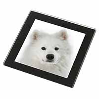 Samoyed Dog Black Rim High Quality Glass Coaster