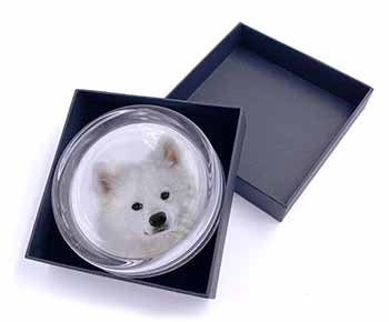 Samoyed Dog Glass Paperweight in Gift Box