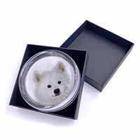 Samoyed Dog Glass Paperweight in Gift Box