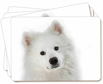 Samoyed Dog Picture Placemats in Gift Box