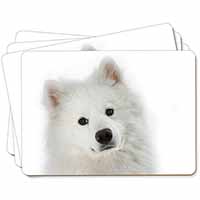 Samoyed Dog Picture Placemats in Gift Box - Advanta Group®