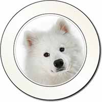 Samoyed Dog Car or Van Permit Holder/Tax Disc Holder