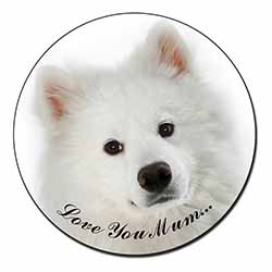 Samoyed Dog 