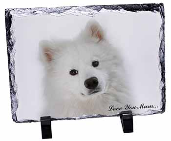 Samoyed Dog 