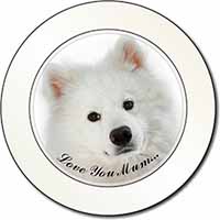 Samoyed Dog 