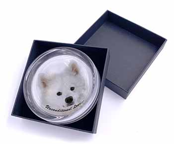 Samoyed Dog with Love Glass Paperweight in Gift Box