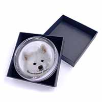 Samoyed Dog with Love Glass Paperweight in Gift Box