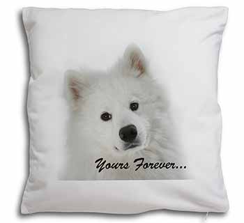 Samoyed Dog 