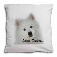 Samoyed Dog 