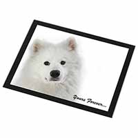 Samoyed Dog 