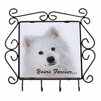 Samoyed Dog 