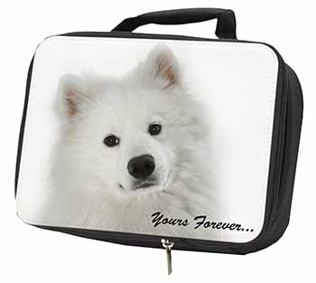 Samoyed Dog 