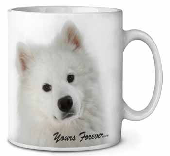 Samoyed Dog 