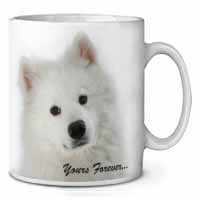 Samoyed Dog 