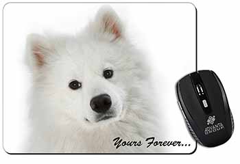 Samoyed Dog 